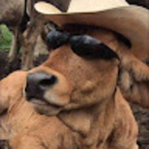 Meet your Posher, Kaylee